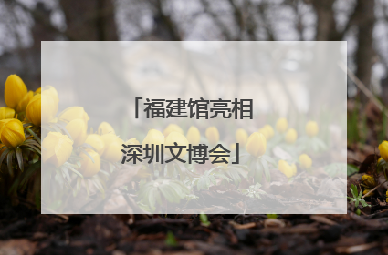 福建馆亮相深圳文博会