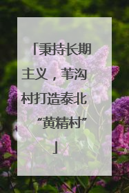秉持长期主义，苇沟村打造泰北“黄精村”