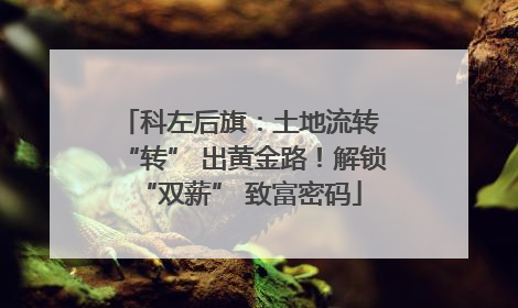科左后旗：土地流转 “转” 出黄金路！解锁 “双薪” 致富密码