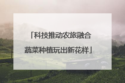 科技推动农旅融合 蔬菜种植玩出新花样
