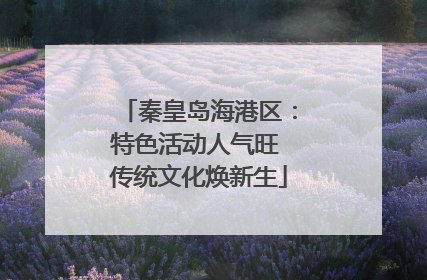 秦皇岛海港区：特色活动人气旺 传统文化焕新生