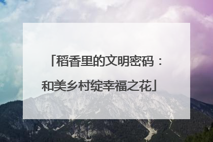 稻香里的文明密码：和美乡村绽幸福之花