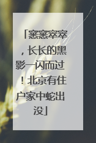 窸窸窣窣，长长的黑影一闪而过！北京有住户家中蛇出没