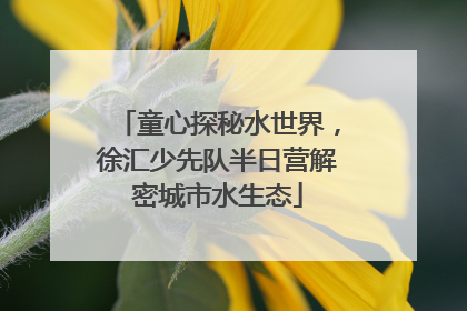 童心探秘水世界，徐汇少先队半日营解密城市水生态