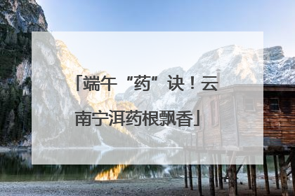 端午“药”诀！云南宁洱药根飘香