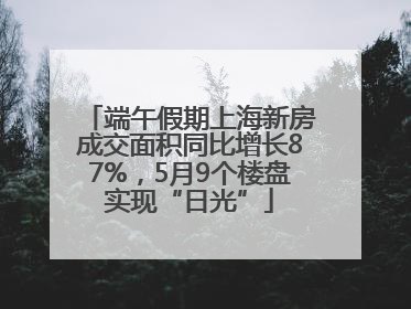 端午假期上海新房成交面积同比增长87%，5月9个楼盘实现“日光”