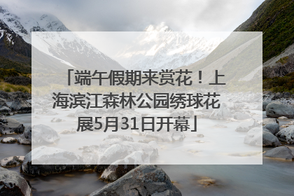 端午假期来赏花！上海滨江森林公园绣球花展5月31日开幕