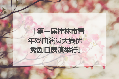 第三届桂林市青年戏曲演员大赛优秀剧目展演举行