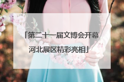 第二十一届文博会开幕 河北展区精彩亮相