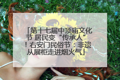 第十七届中顶庙文化节 居民变“传承人”！右安门民俗节：非遗从展柜走进烟火气