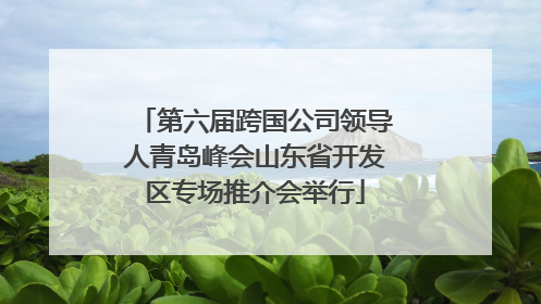 第六届跨国公司领导人青岛峰会山东省开发区专场推介会举行