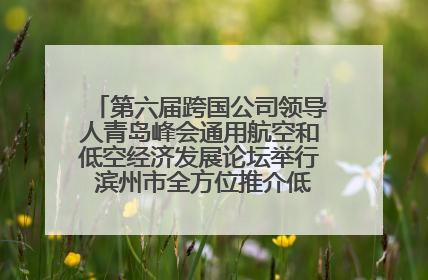 第六届跨国公司领导人青岛峰会通用航空和低空经济发展论坛举行 滨州市全方位推介低空经济发展优势