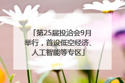 第25届投洽会9月举行，首设低空经济、人工智能等专区