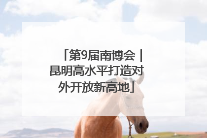 第9届南博会｜昆明高水平打造对外开放新高地