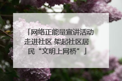 网络正能量宣讲活动走进社区 架起社区居民“文明上网桥”
