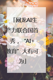 网龙AI生产力联合国首秀，“AI+教育”大有可为