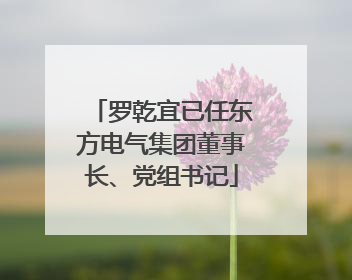罗乾宜已任东方电气集团董事长、党组书记