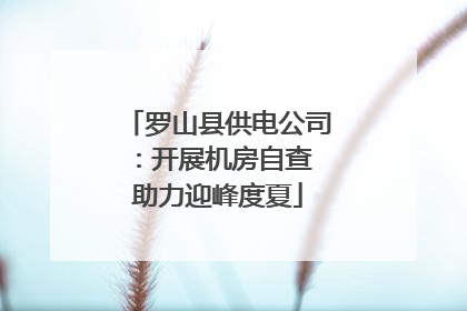 罗山县供电公司：开展机房自查 助力迎峰度夏