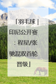 羽毛球｜印尼公开赛：程星/张驰混双首轮晋级