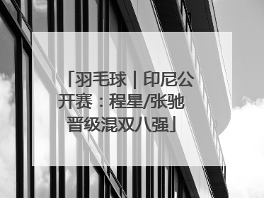 羽毛球｜印尼公开赛：程星/张驰晋级混双八强