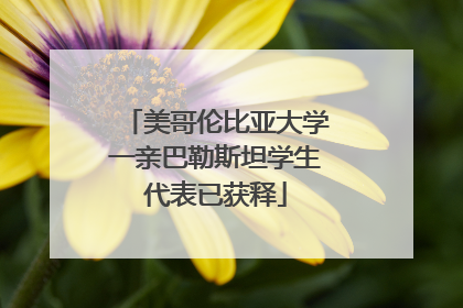 美哥伦比亚大学一亲巴勒斯坦学生代表已获释
