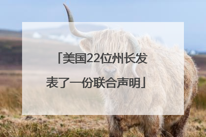 美国22位州长发表了一份联合声明