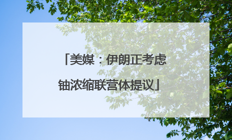 美媒：伊朗正考虑铀浓缩联营体提议