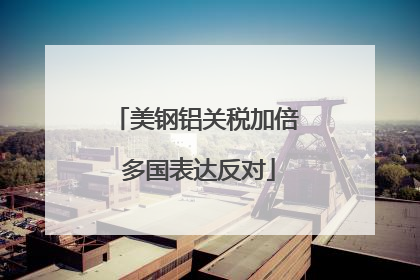 美钢铝关税加倍 多国表达反对