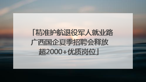精准护航退役军人就业路 广西国企夏季招聘会释放超2000+优质岗位