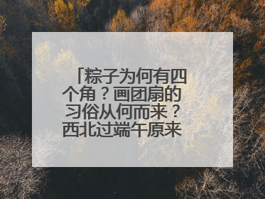 粽子为何有四个角？画团扇的习俗从何而来？西北过端午原来有这么多讲究