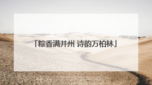 粽香满并州 诗韵万柏林