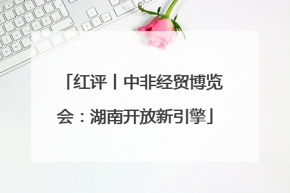 红评丨中非经贸博览会：湖南开放新引擎