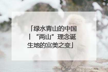 绿水青山的中国丨“两山”理念诞生地的富美之变