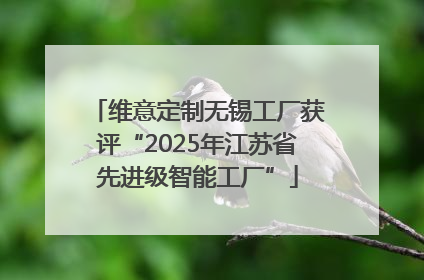 维意定制无锡工厂获评“2025年江苏省先进级智能工厂”
