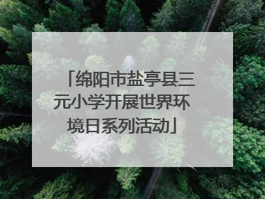 绵阳市盐亭县三元小学开展世界环境日系列活动