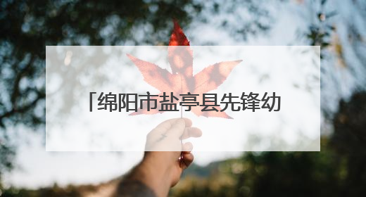绵阳市盐亭县先锋幼儿园成功举行红色主题公开课展示活动