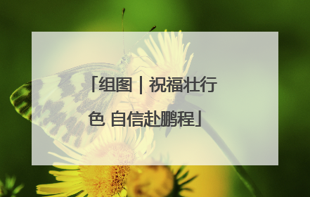 组图｜祝福壮行色 自信赴鹏程