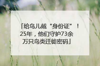 给鸟儿戴“身份证”！25年，他们守护73余万只鸟类迁徙密码