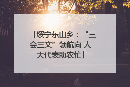 绥宁东山乡：“三会三文”领航向 人大代表助农忙