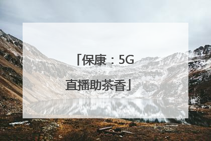 保康：5G直播助茶香