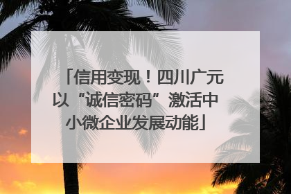 信用变现！四川广元以“诚信密码”激活中小微企业发展动能