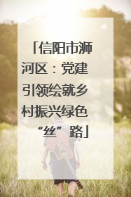 信阳市浉河区：党建引领绘就乡村振兴绿色“丝”路