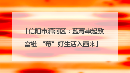 信阳市浉河区：蓝莓串起致富链 “莓”好生活入画来