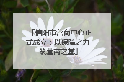 信阳市营商中心正式成立：以保障之力 筑营商之基