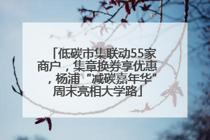 低碳市集联动55家商户，集章换券享优惠，杨浦“减碳嘉年华”周末亮相大学路