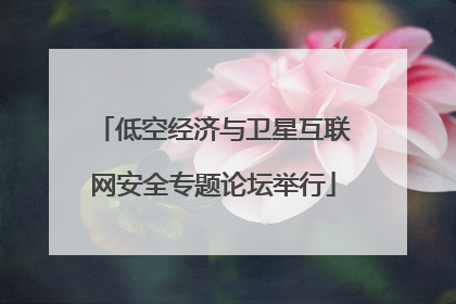 低空经济与卫星互联网安全专题论坛举行