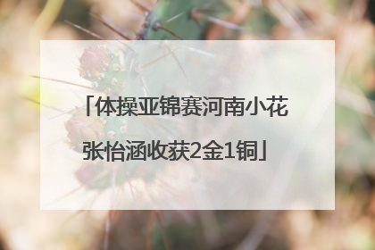 体操亚锦赛河南小花张怡涵收获2金1铜