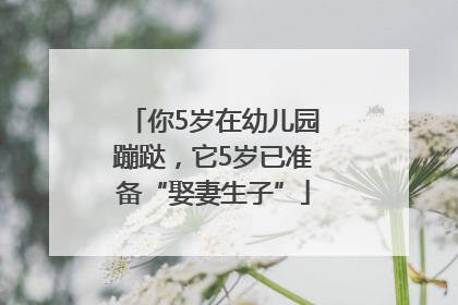 你5岁在幼儿园蹦跶，它5岁已准备“娶妻生子”