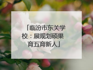 临汾市东关学校：展规划硕果 育五育新人