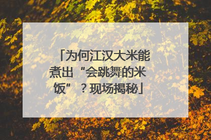 为何江汉大米能煮出“会跳舞的米饭”？现场揭秘